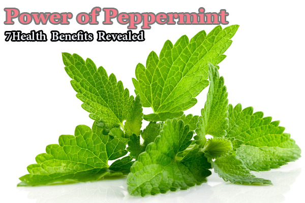 Peppermint health benefits