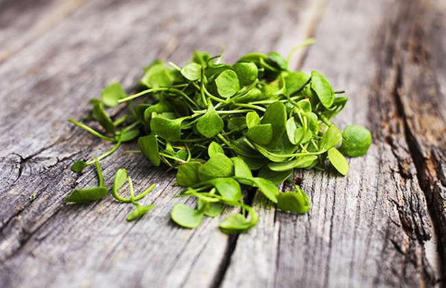 Watercress and Thyroid