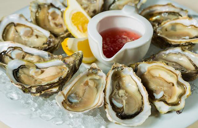 Raw Oyster Nutrition