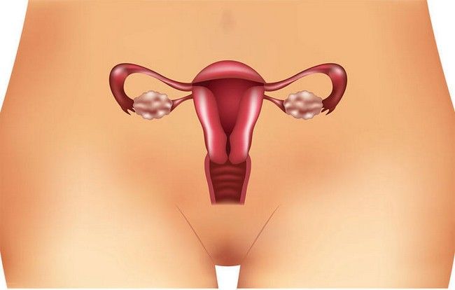 Polycystic Ovaries Fertility