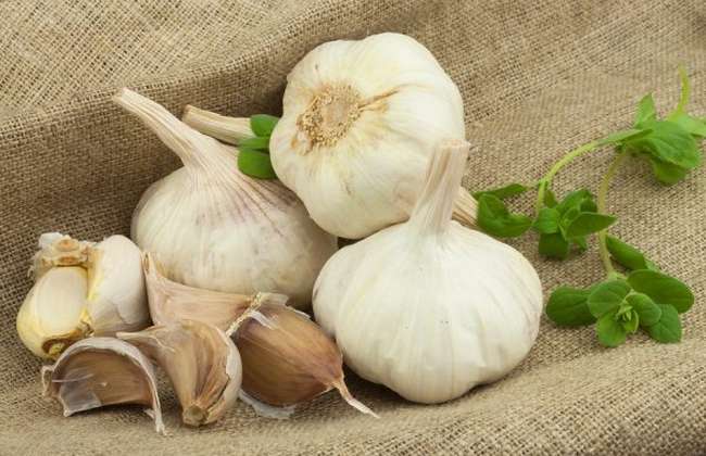 Garlic - What Diet Helps Prevent Cancer