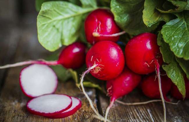 Are Radishes Good For Weight Loss